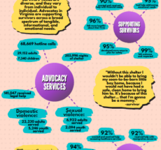 Infographic titled "Advocacy in Virginia in 2019".