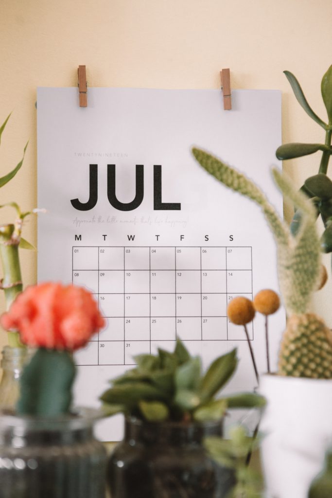 A calendar showing the month of July, surrounded by cacti.
