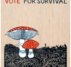 An image of two mushrooms with red tops, one larger and one smaller, next to each other on top of a black grassy ground with a light wood grain background. At the top are the words, "vote for survival."
