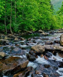 White water flowing over gray rocks through forest of green trees. Photo by Mitchell Kmetz on Unsplash.
