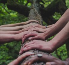 Photo of several hands holding a tree trunk by Shane Rounce on Unsplash.